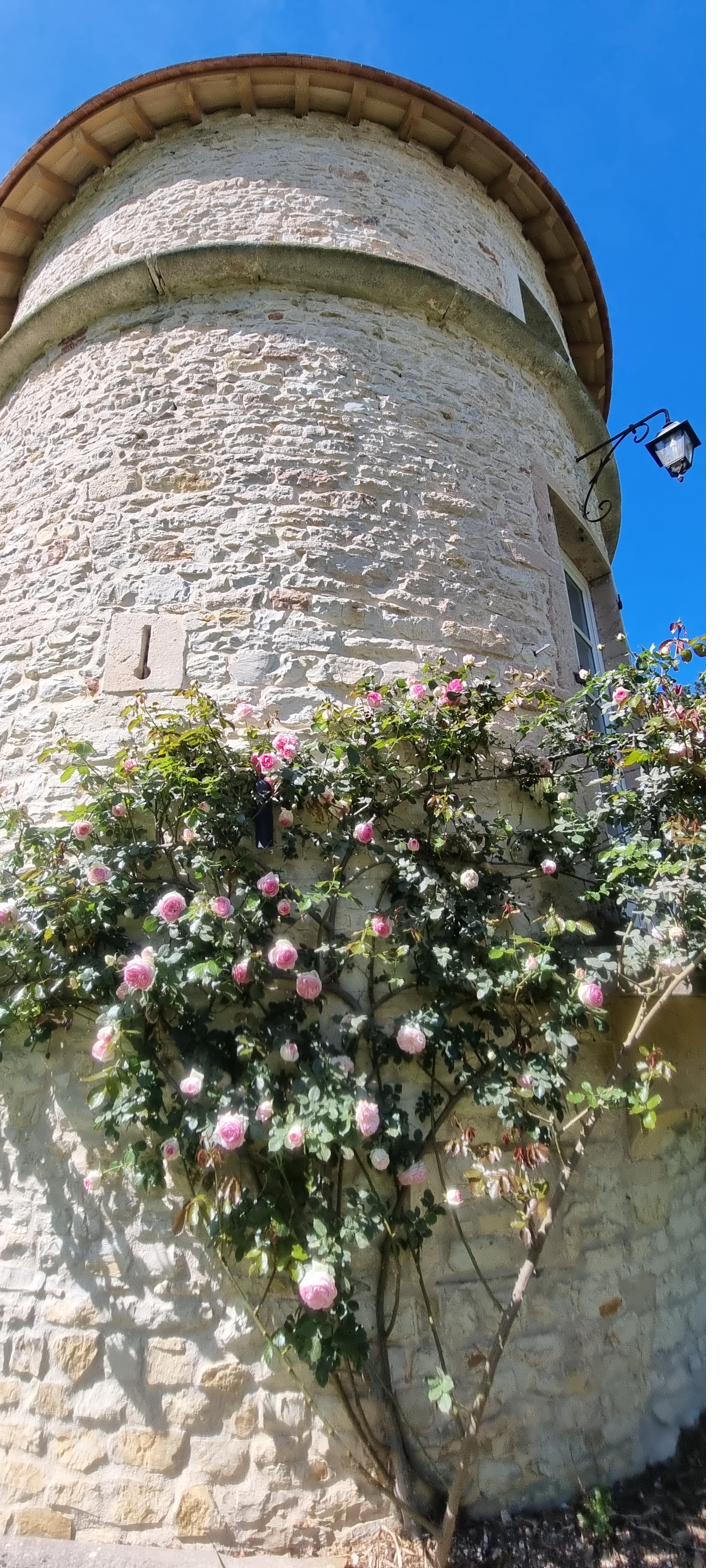 The tower seen from the gardens.