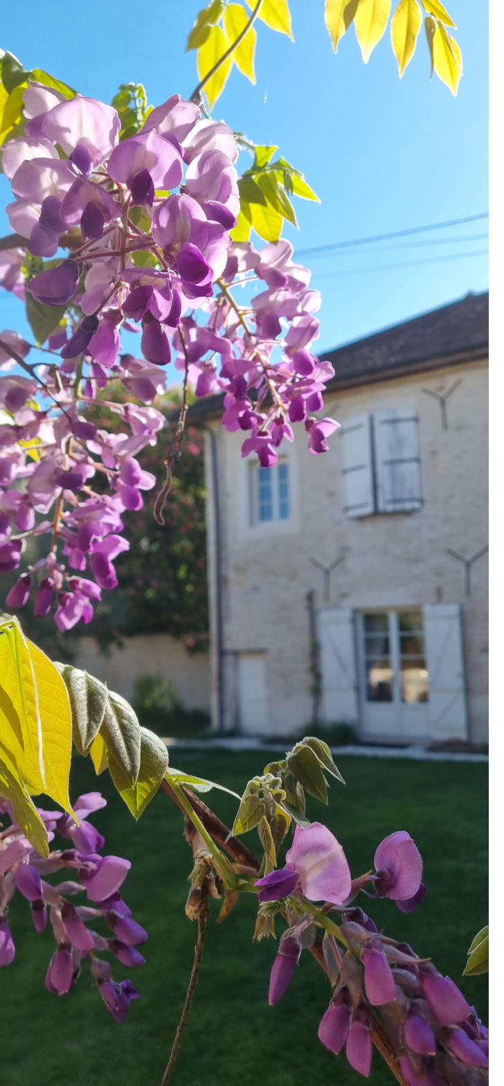 Wisteria against the façade and the gardens beyond.