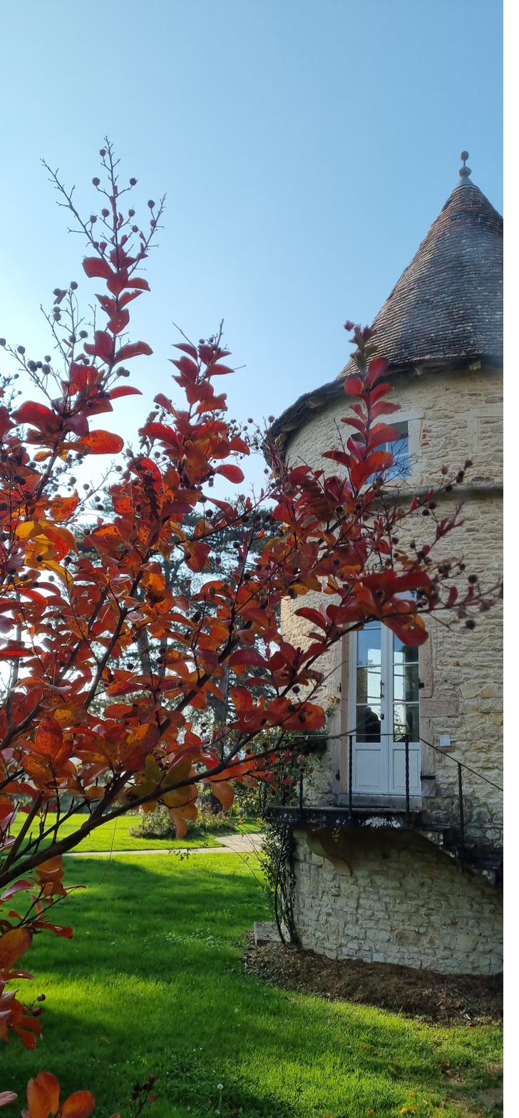 Autumn — the conical tower behind a tree in full red leaf.