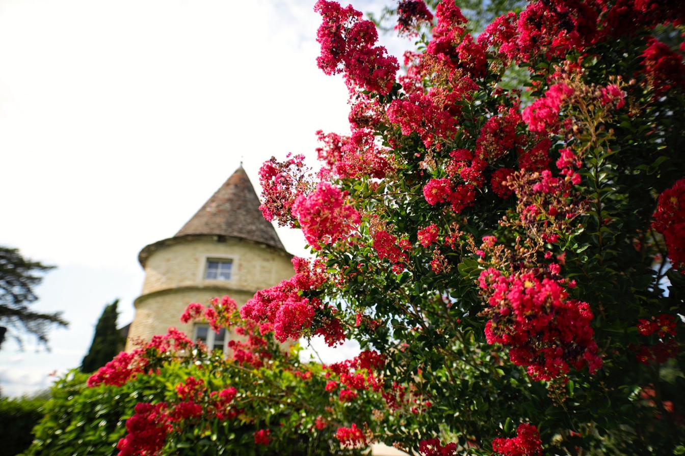 The tower in summer light.