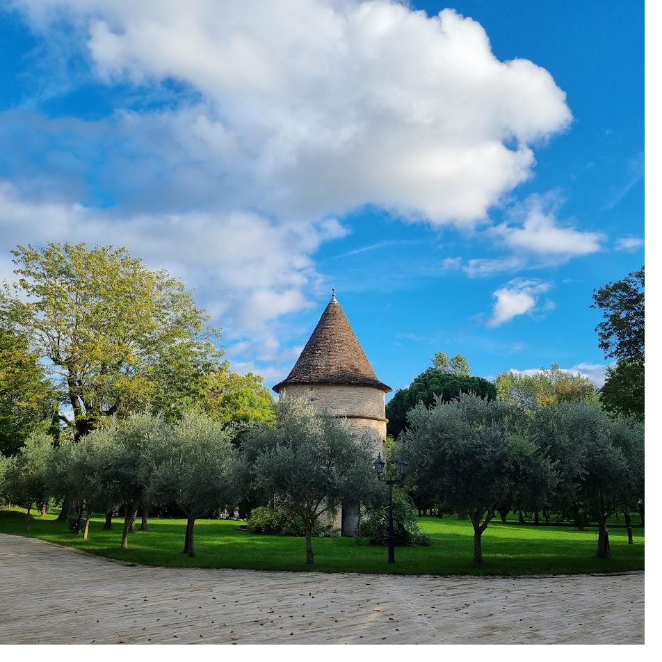 The tower framed by olive trees on a clear day.