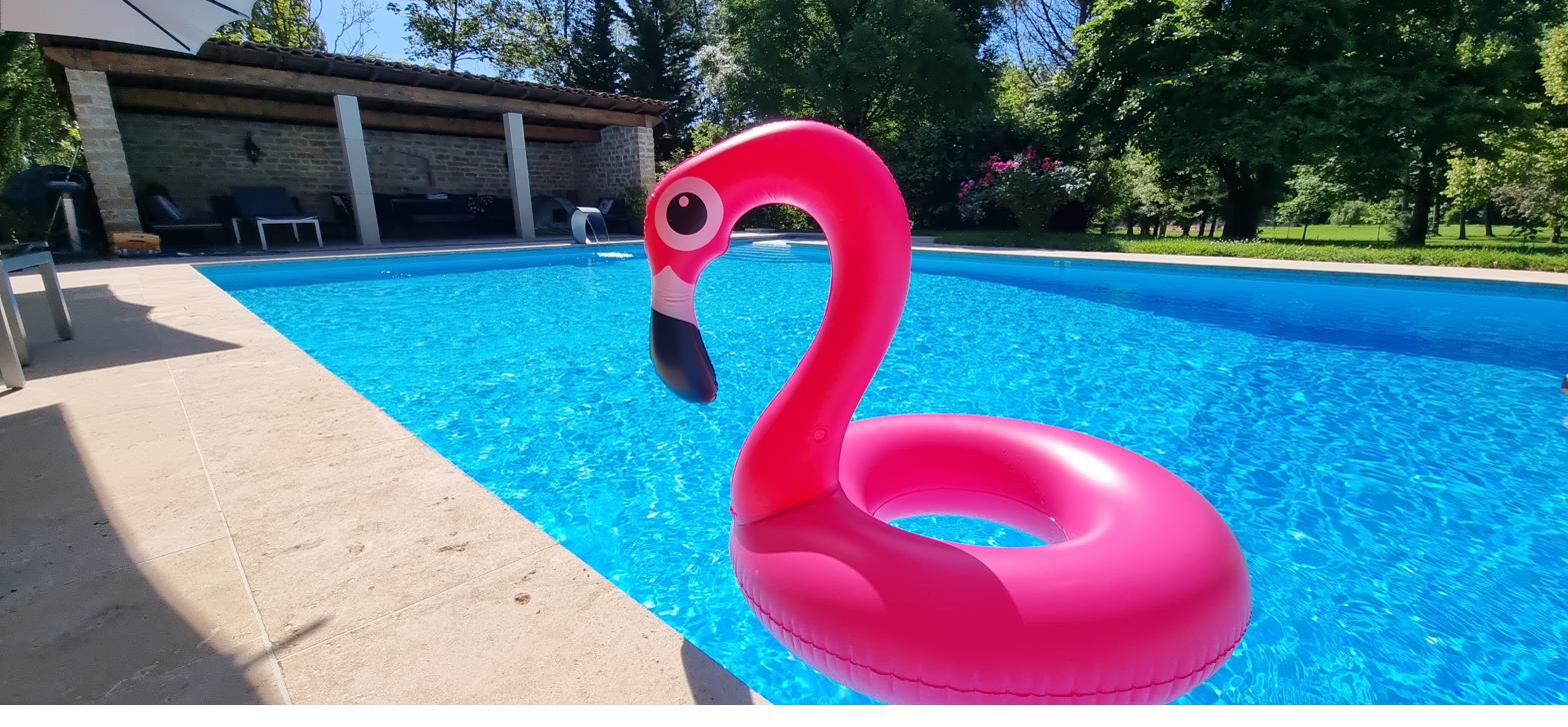The pool with the stone pool-house and a flamingo float.