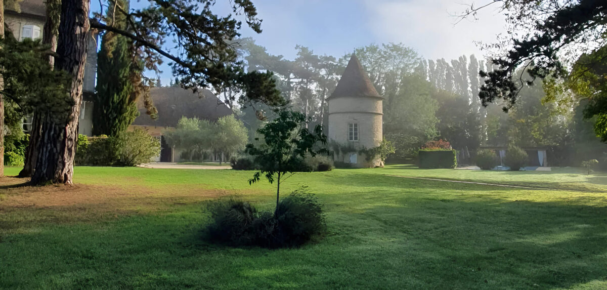 Mist hanging over the château grounds in autumn.